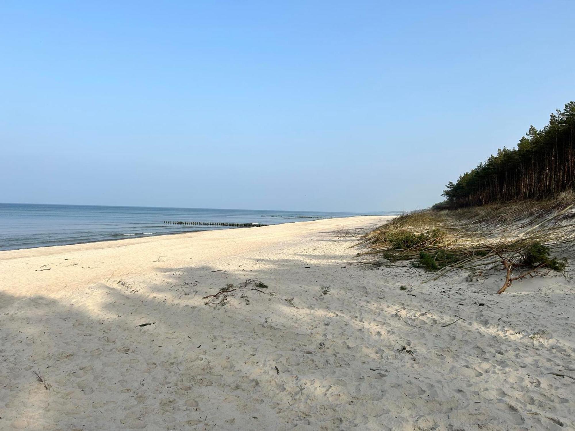 Domki U Sieronia Mielenko Buitenkant foto