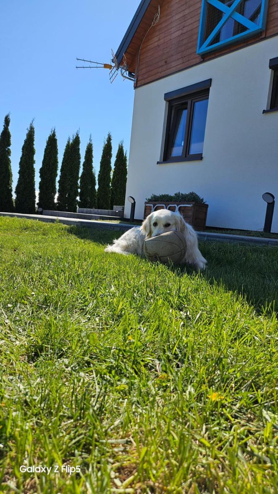 Domki U Sieronia Mielenko Buitenkant foto