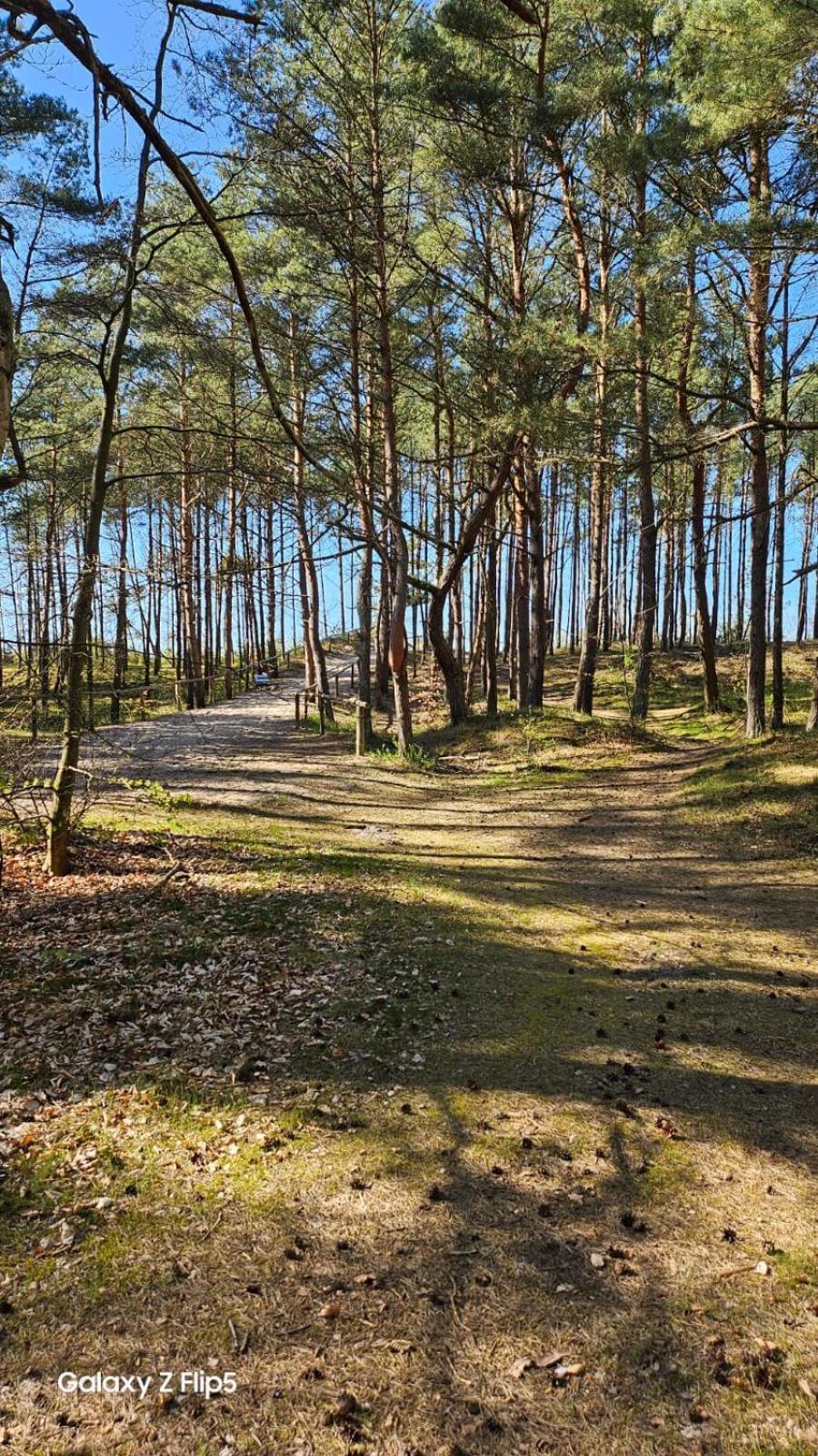 Domki U Sieronia Mielenko Buitenkant foto
